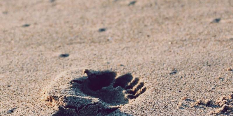 CES游戏新视野：元宇宙中的虚拟身份与经济系统如何重塑玩家行为