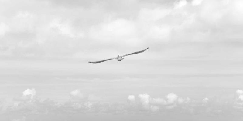 单机与手机游戏AI设计演进：从行为树到机器学习NPC的智能革命