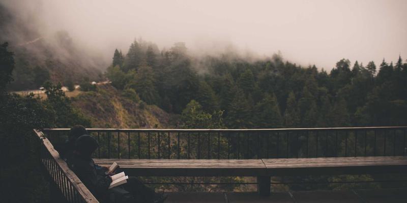 单机游戏与网络游戏：玩家社区如何重塑现代游戏生态