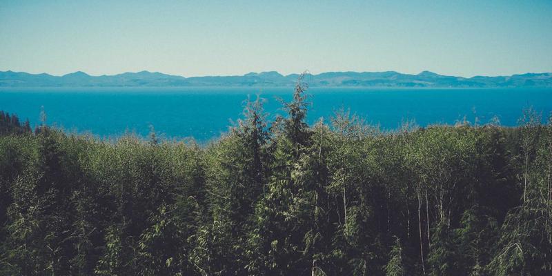 单机游戏玩家必备:高效利用游戏资讯与攻略的完整指南