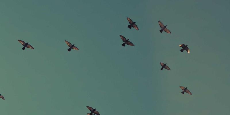 听声辨位制胜关键：HRTF与空间音频如何革新FPS手游竞技体验 | 游戏资讯