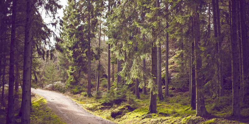 手机游戏、CES游戏与单机游戏：2024年移动与独立游戏的融合新趋势