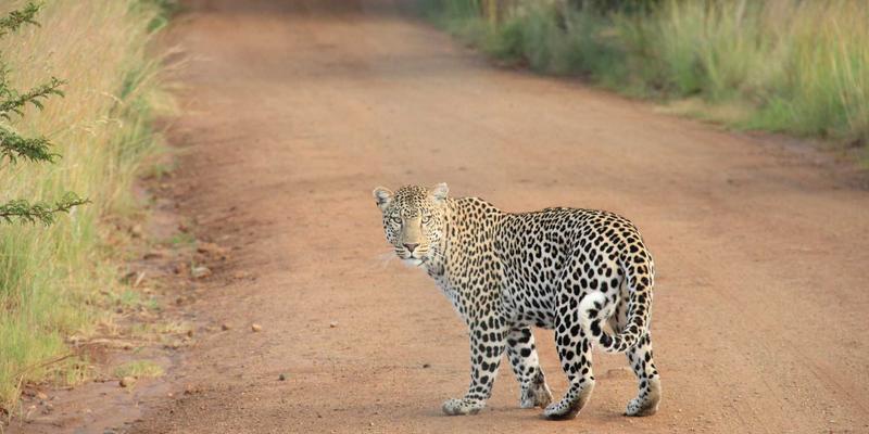 手机游戏市场趋势深度解析：从单机休闲到硬核竞技的演变与游戏资讯洞察