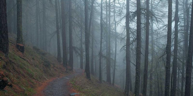 游戏叙事设计深度解析：环境叙事与碎片化叙事如何重塑玩家沉浸感 | 游戏资讯与玩家社区热议