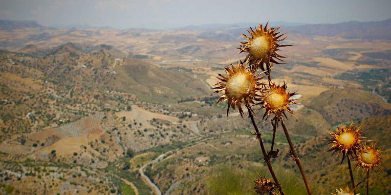 游戏引擎终极评测：Unity与Unreal Engine在独立游戏与3A项目中的选择策略