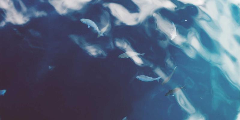 游戏本地化：从手机游戏到CES大作，文化适配如何决定单机游戏全球成败