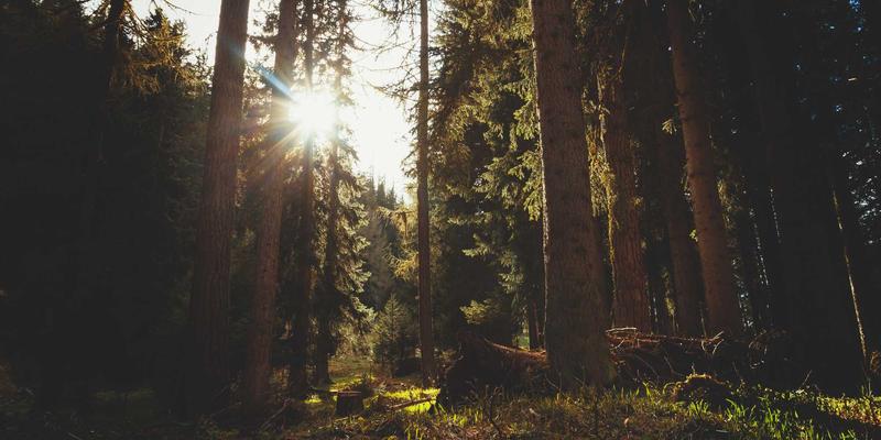 游戏硬件外设创新如何重塑沉浸感：从VR设备、电竞显示器到手柄的深度评测与玩家社区洞察