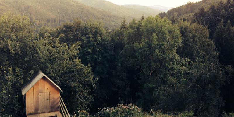 游戏资讯72：网络游戏、玩家社区与手机游戏的共生进化