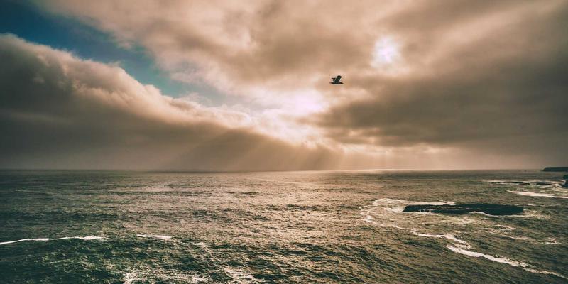 游戏资讯入门指南:从攻略、评测到手机游戏,新手必读的三大核心