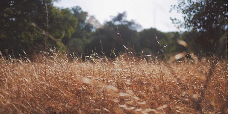 游戏音频设计艺术：从环境音效到动态配乐，声音如何塑造沉浸式游戏体验 | 游戏攻略与资讯